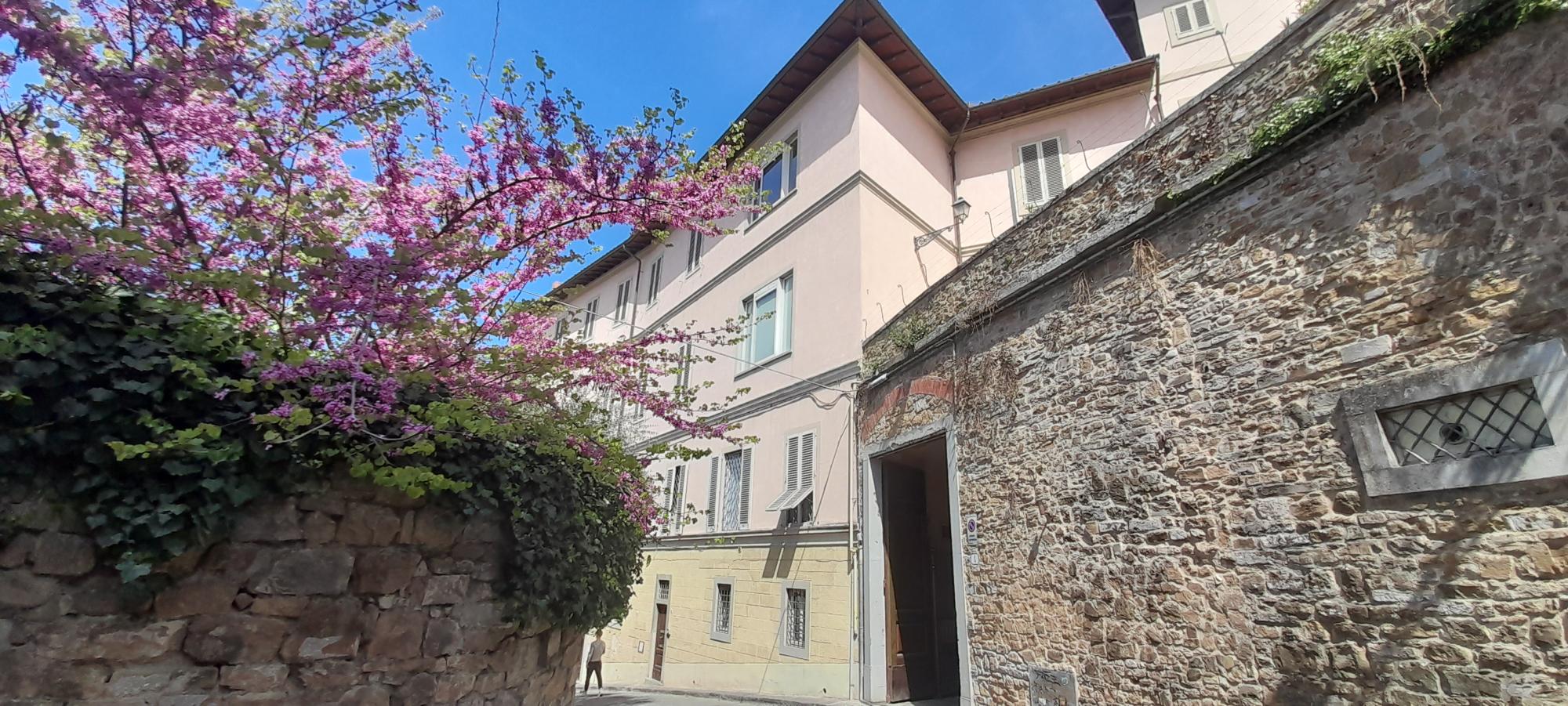 The  Gardens of Florence: Boboli and Bardini Private tour