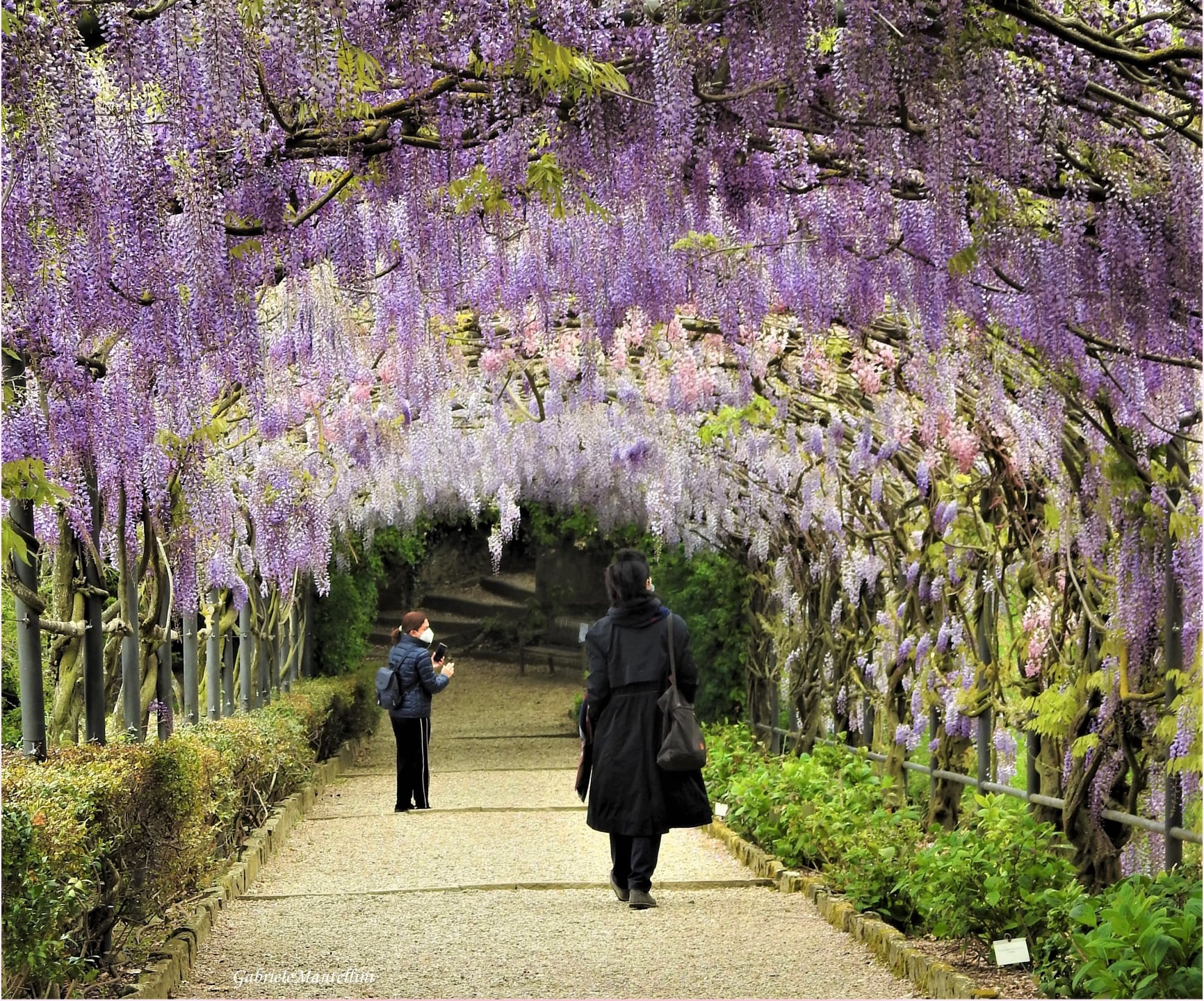 The  Gardens of Florence: Boboli and Bardini Private tour