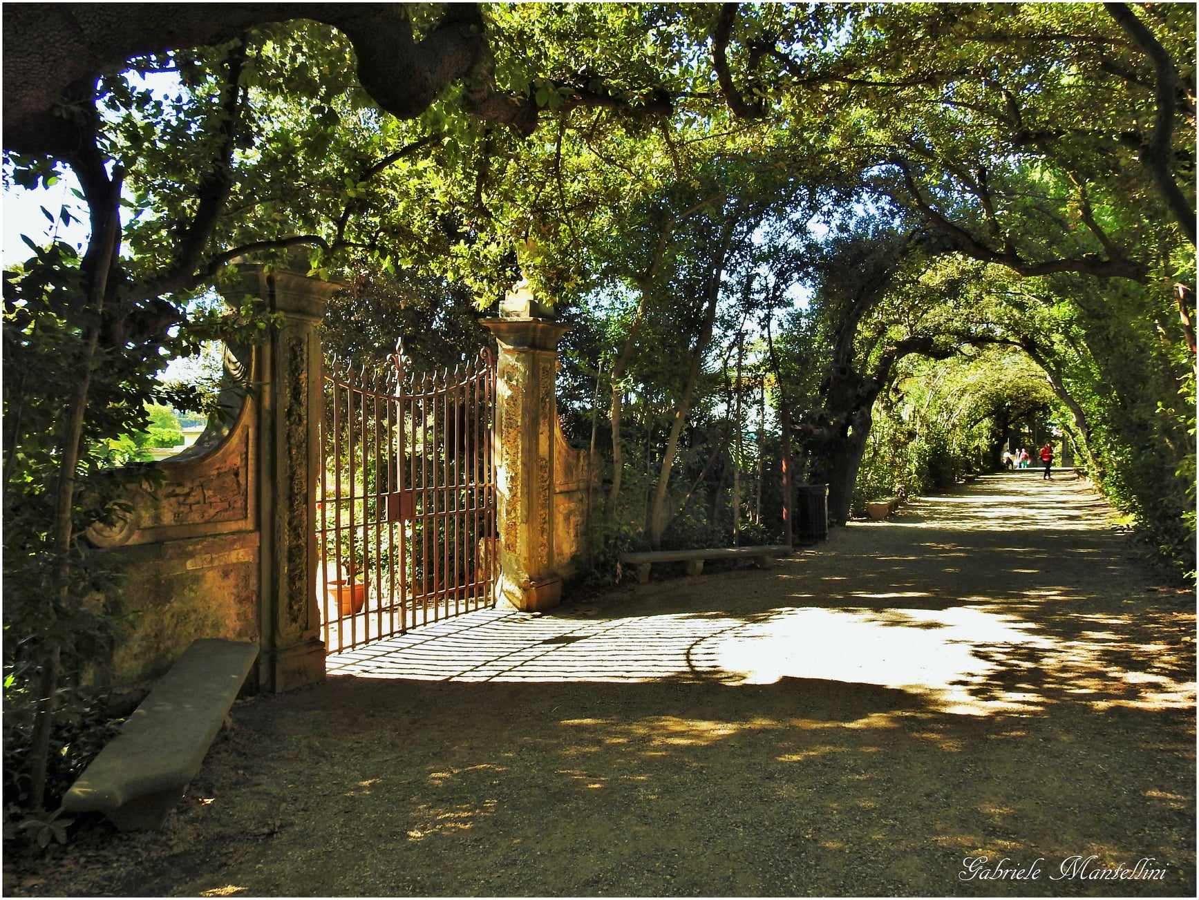 The  Gardens of Florence: Boboli and Bardini Private tour