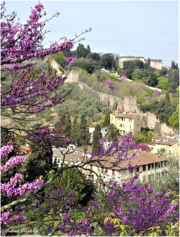 The  Gardens of Florence: Boboli and Bardini Private tour