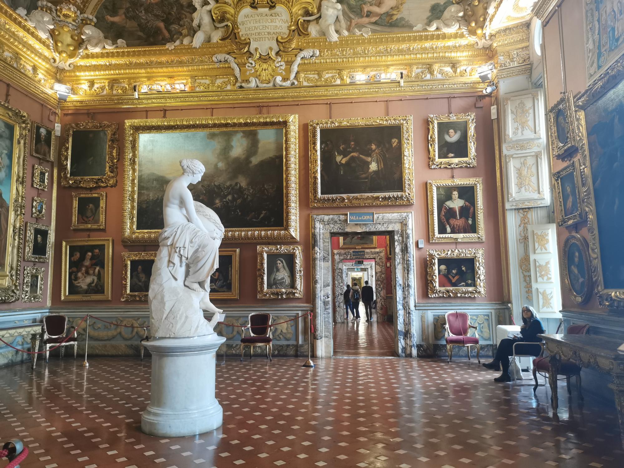 Guided Tour of  Pitti Palace, a Royal Residence