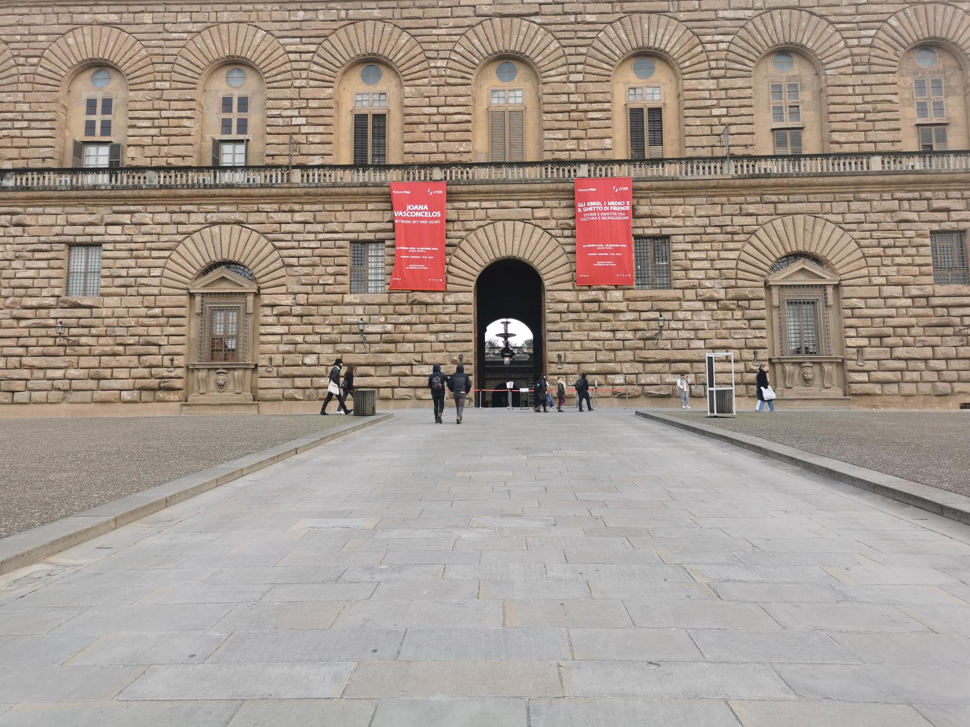 Guided Tour of  Pitti Palace, a Royal Residence