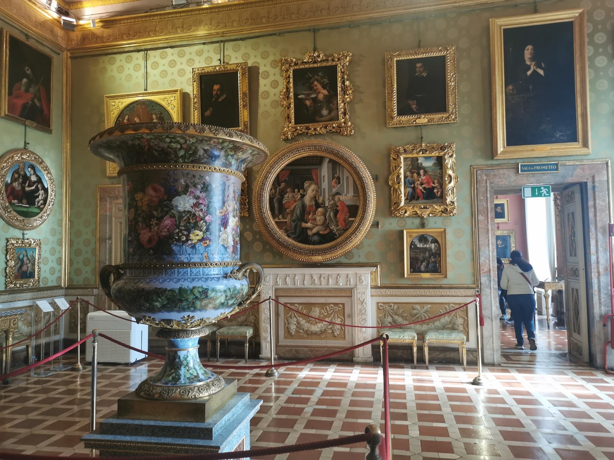 Guided Tour of  Pitti Palace, a Royal Residence