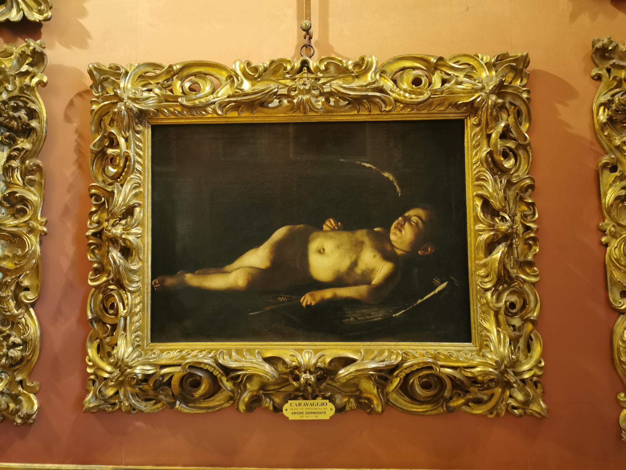 Guided Tour of  Pitti Palace, a Royal Residence