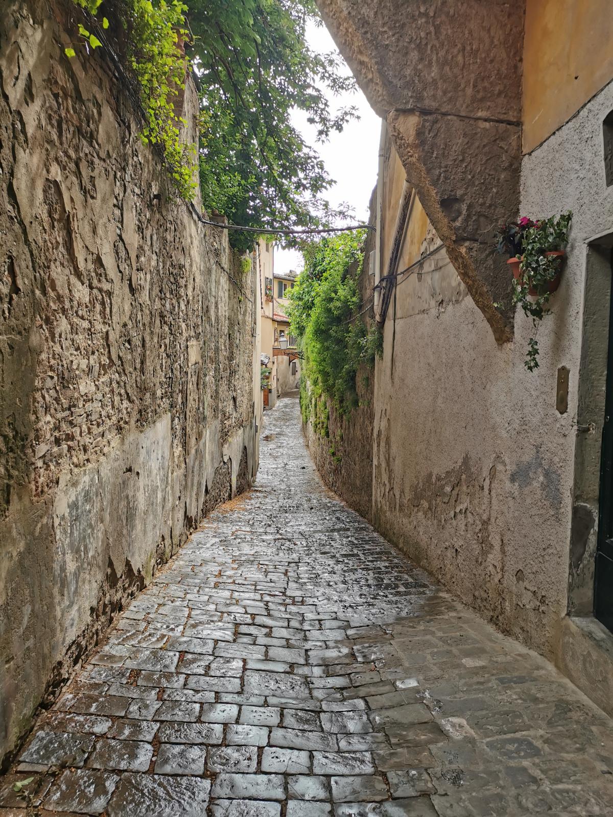 Florence Oltrarno Guided Tour: A city that speaks